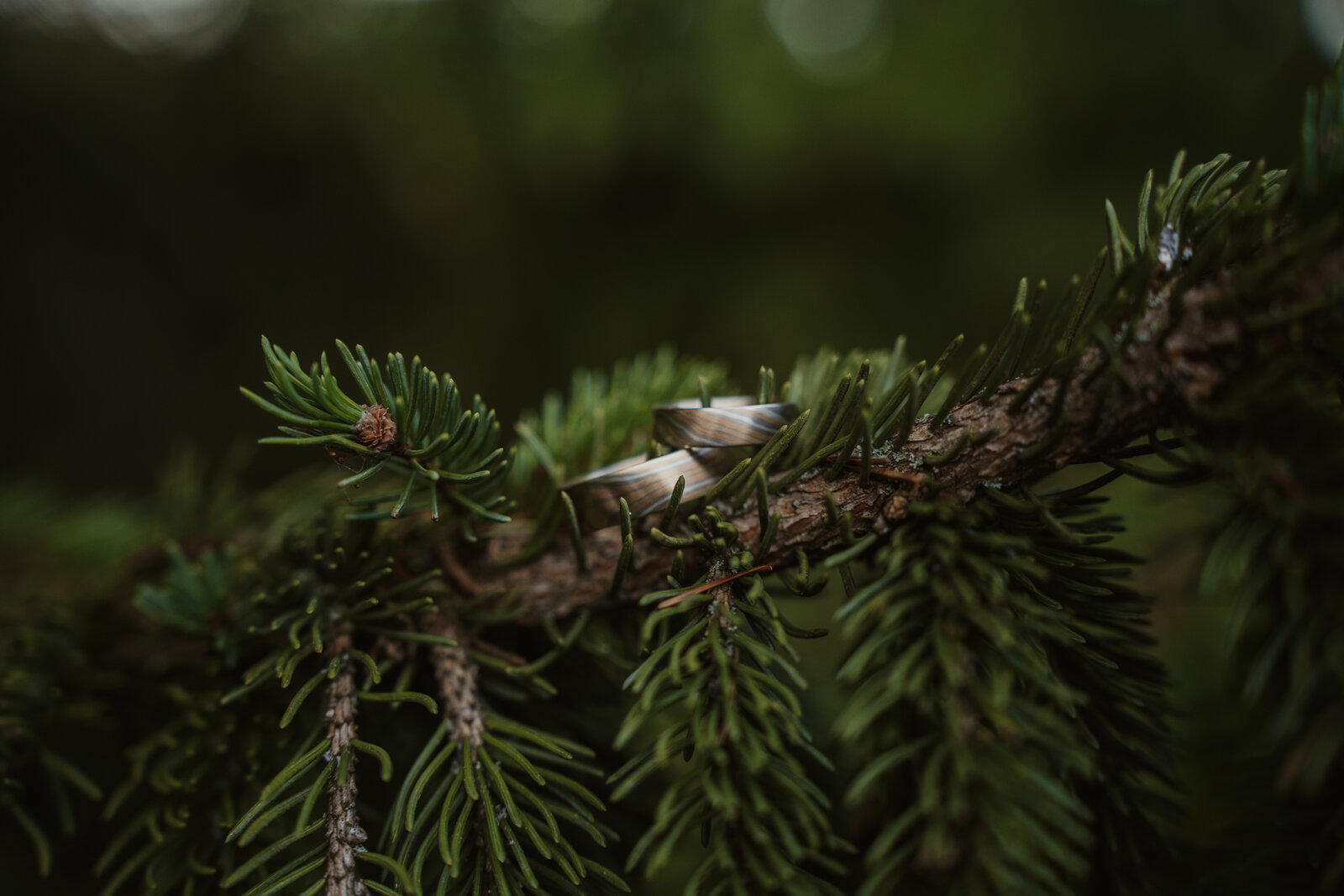 Kāzu fotogrāfija — 24